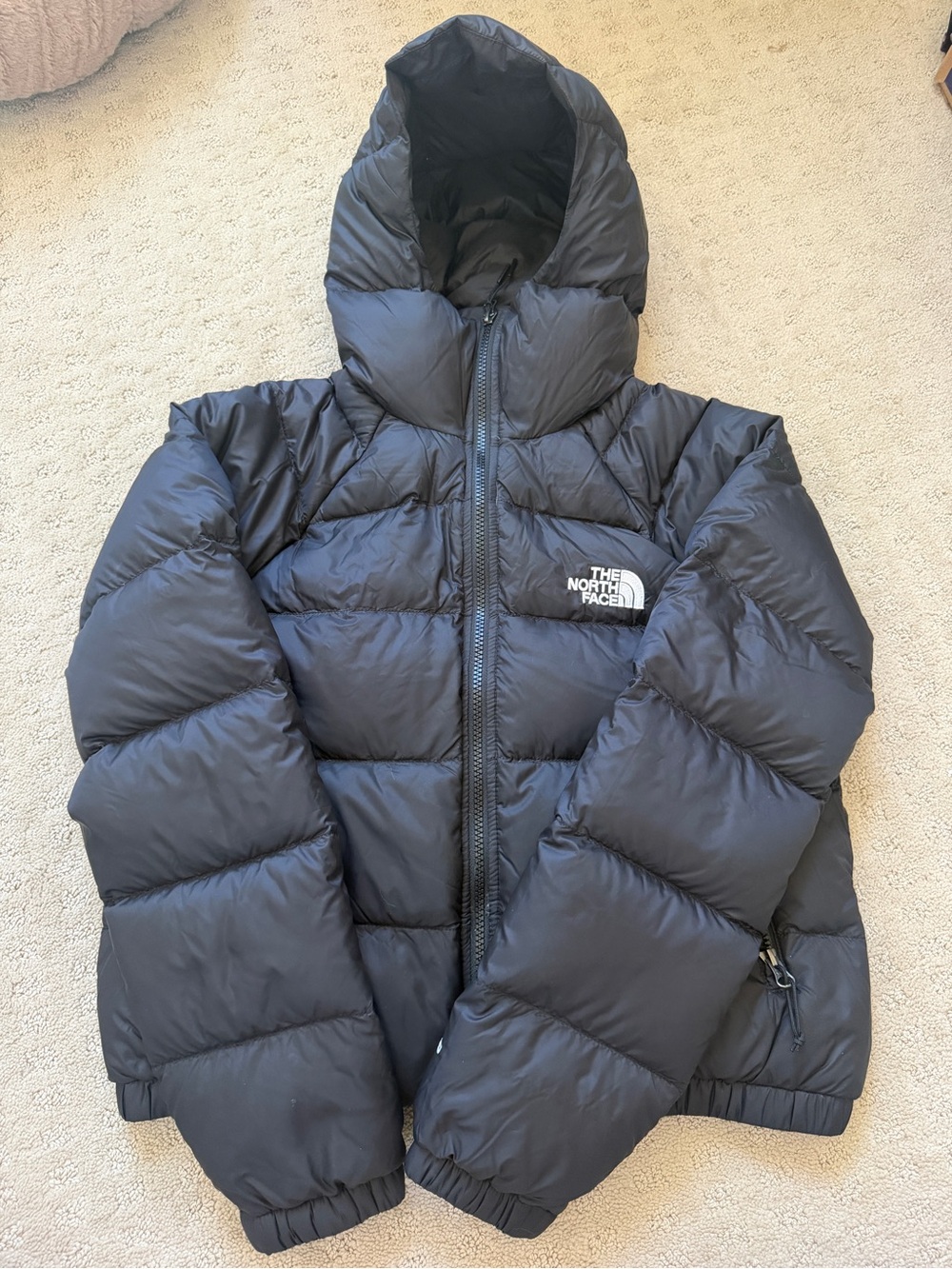 The North Face Womens Hydrenalite Down Hooded Black Puffer Jacket - Picture 2 of 8